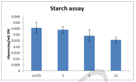 Starch analyses for transgenic line and CC125 cultured under N-TAP condition