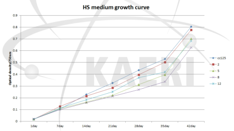 Comparison of cell density from wild type and transgenic line grown in HS media