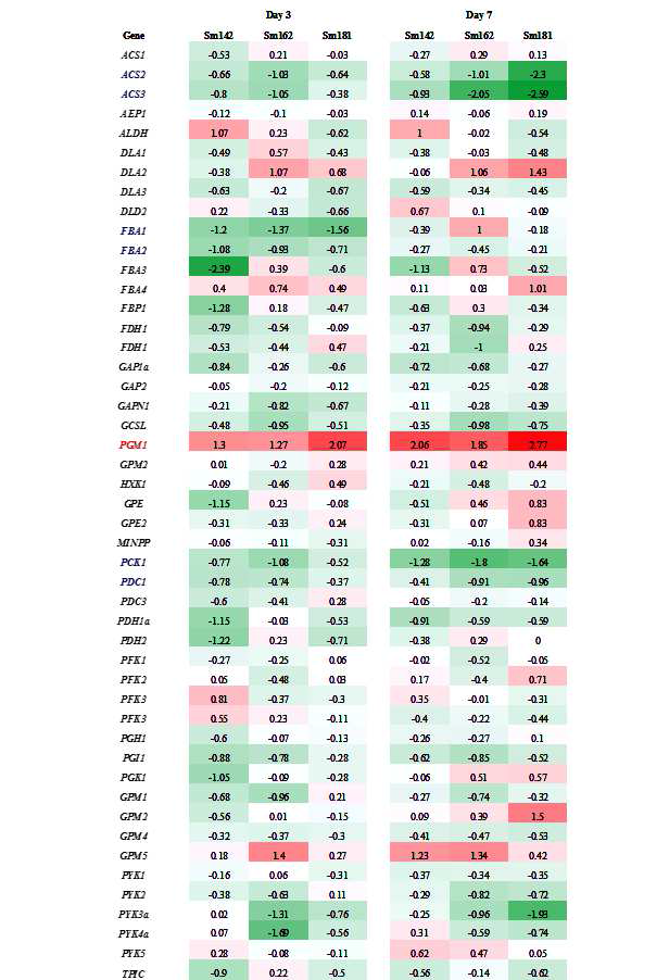 Expression levels of genes participated in glycolysis/gluconeogenesis in high-starch mutants by transcriptome analysis