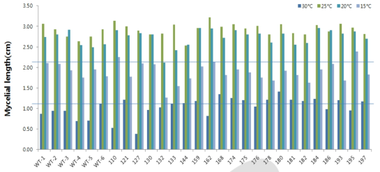 Mycelial length of mutants at various temperature on PDA