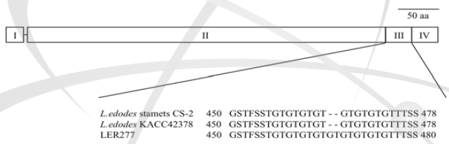 Schematic domain architecture of cel7A protein. A serine/threonine/glycine-rich linker showed sequence variation between wild type and LER277. From left to right, I; 1-18 (18aa); signal peptide, II; 21-449 (429 aa); glycoside hydrolase family 7 catalytic domain, III; 450-478 (29 aa); a serine/threonine/glycine-rich linker, IV;483-516 (34 aa); fungal type cellulose binding domain (fCBD). Scale bar represents 50 aa