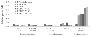 Expression of cellulase genes using qRT-PCR. Error bars indicate standard deviation of triplicates. Expression levels of each gene in LE (wild type) were set to 1