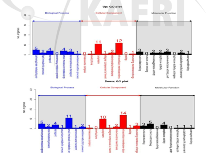 GO functional analysis of DEGs between wild type and LER 277