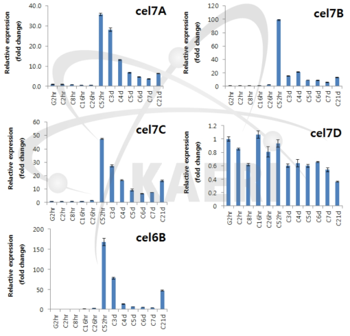 Exocellulase genes expression in CMC media