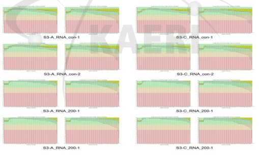 Per base sequence quality of the RNA-seq reads. S3, stage 3 (tillering stage); A, acute irradiation; C, chronic irradiation; con, control; 200, gamma-ray 200 Gy treatmeat