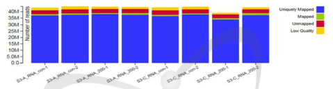 RNA-seq and read mapping summary of the acutely and chronically irradiated rice plants and their controls. A, acute irradiation; C, chronic irradiation; con, control; 200, gamma-ray 200 Gy treatmeat