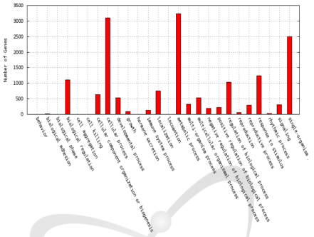 Distribution of enriched GO terms in the biological process category for differentially expressed genes by gamma-ray 200 Gy acute irradiation