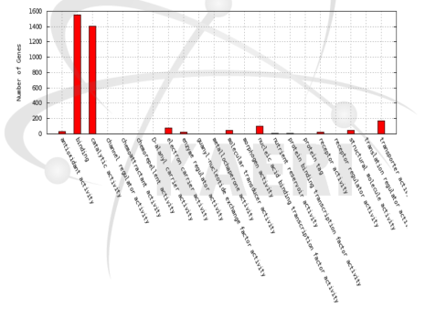 Distribution of enriched GO terms in the molecular function category for differentially expressed genes by gamma-ray 200 Gy chronic irradiation