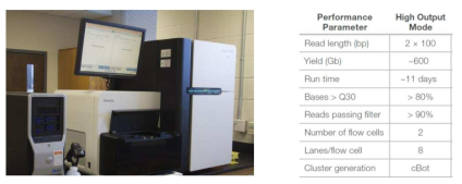 llumina HiSeq2500 sequencer and its performance