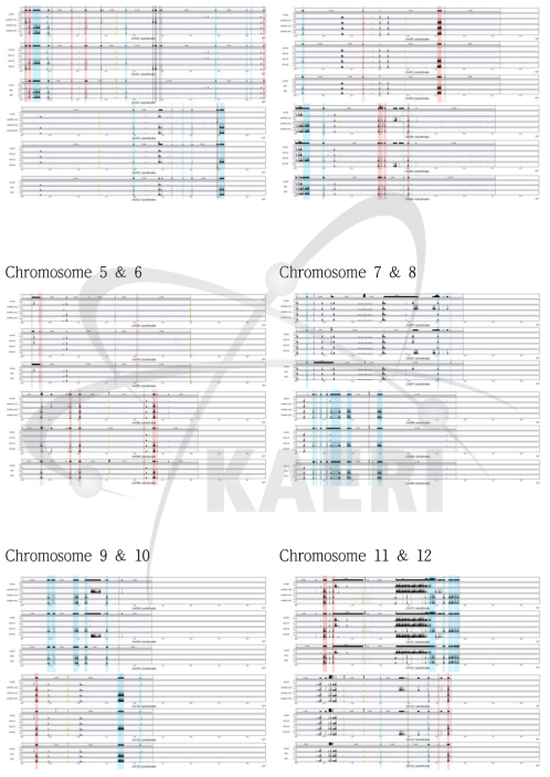 Chromosome variant blocks among irradiated rice