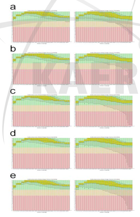 Per base sequence quality of the RNA-seq reads. a, Br1; b, Br2; c, Proton-100; d, Proton-200; e, Proton-400