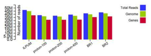 Comparison of the number of the aligned RNA-seq reads of the control (Ilpum), Biorisk exposed (BR1 and BR2), and proton-beam irradiated rice on genome and gene sequences of Nipponbare