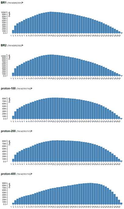 RNA sequencing randomness of the irradiated rice samples