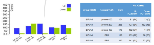 Identification of differentially expressed genes between the control (Ilpum) and irradiated rice
