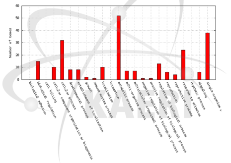 Distribution of GO terms in the biological process category for differentially expressed genes between Ilpum and proton-100