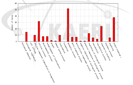 Distribution of GO terms in the biological process category for differentially expressed genes between Ilpum and proton-200