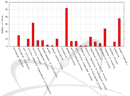 Distribution of GO terms in the biological process category for differentially expressed genes between Ilpum and proton-400