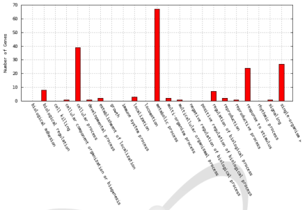 Distribution of GO terms in the biological process category for differentially expressed genes between Ilpum and BR1