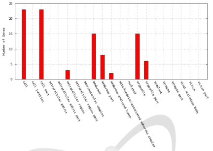 Distribution of GO terms in the cellular component category for differentially expressed genes between Ilpum and BR1