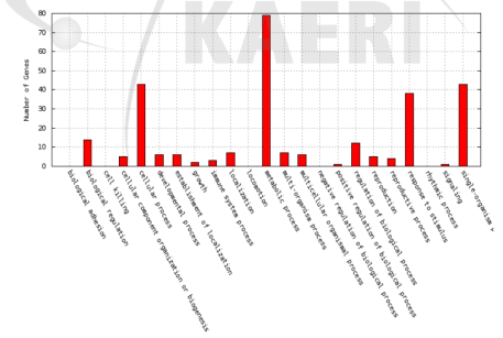 Distribution of GO terms in the biological process category for differentially expressed genes between Ilpum and BR2