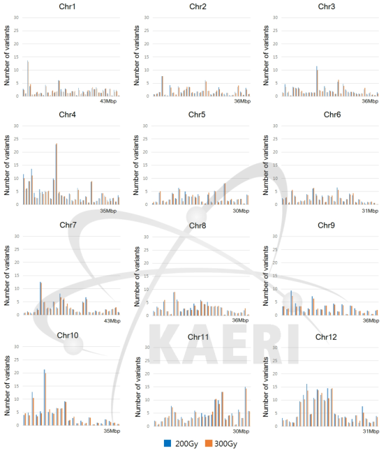 Comparison of Chromosomal distribution of INDEL variations in the 100 rice mutant lines by their initial mutation induction doses