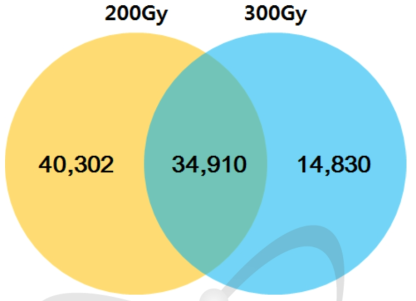 Venn diagram for variant loci observed in the 100 rice mutant lines between their two initial mutation induction doses