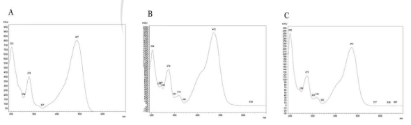 Spectral characteristics of 3-deoxyanthocyanidins isolated from sorghum by UPLC. A: luteolinidin B: apigeninidin (sigma) C: glycosides of apigeninidin (Awika et al., 2004)