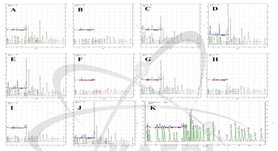 Amino acid profiles of whole plant of sorghum cultivar. A: DINE-A-MITE B:IS645, C;IS2868 , D: MOGTAK, E: BANWOLDANG, F: ChalⅠ, G: ChalⅡ, H: KLSO79125, I:KLSO79075, J: Mesusu, K: Commercial standards