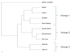 UPGMA dendrogram of selected sorghum based on Nei’s (1973) genetic distance