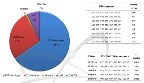 Distribution of sorghum class2 transposon superfamily