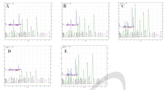 Amino acid chromatogram of ethanol extract of leaves of kenaf. A: Jangdae, B: Jinju, C: Baekma, D: Jeokbong, E: C14