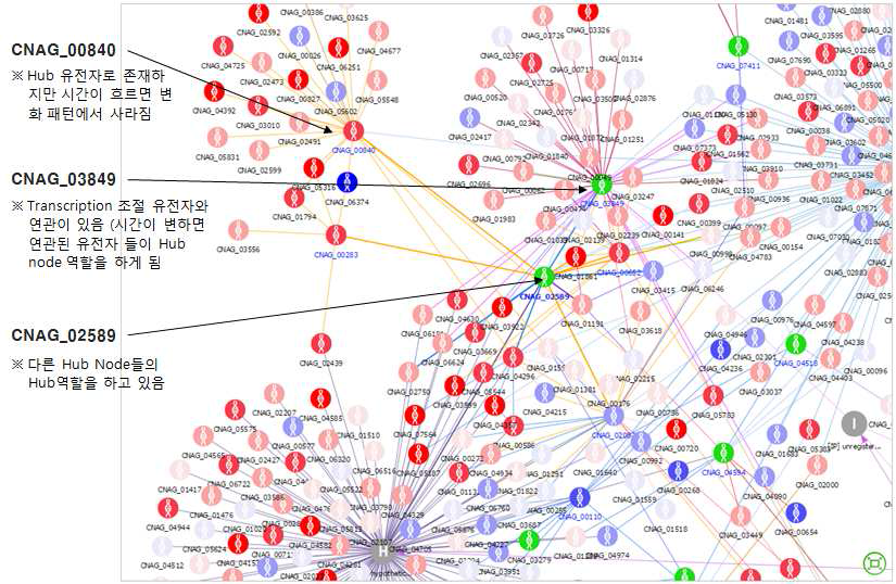 네트워크 확장을 통한 허브 노드 검색 예제