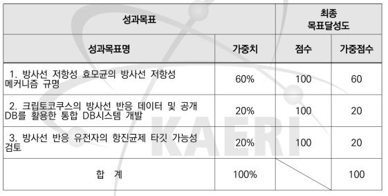 목표 달성 내역