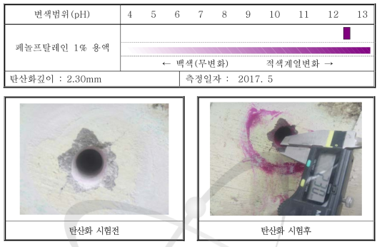 1 POINT( 가연성폐기물처리시설 1층 TG1 )탄산화 측정표