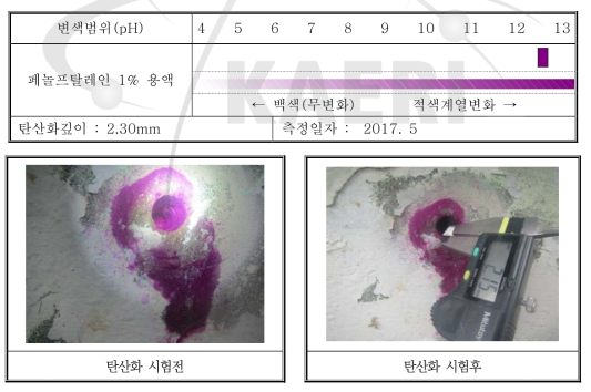 2 POINT( 가연성폐기물처리시설 1층 TG2) 탄산화 측정표