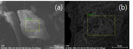 (a) SEM image of sintered kaolin, (b) SEM image of sintered kaolin after reaction with cesium