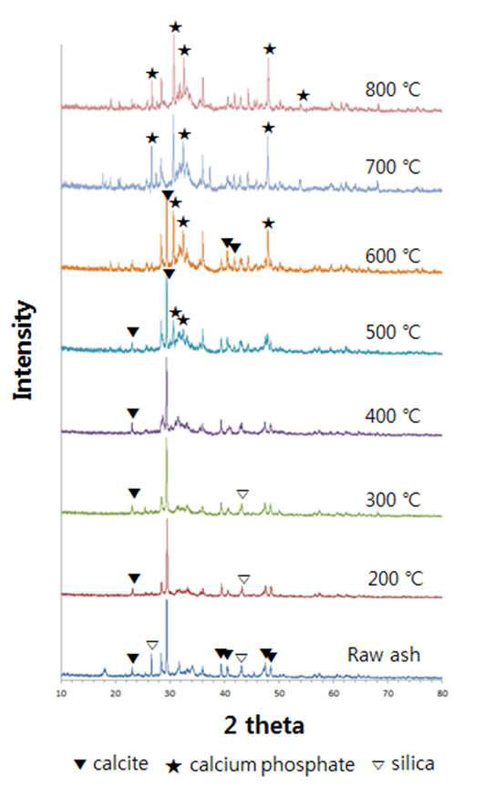 소각재와 소결조재[(B2O3/ [NHP]=4), 8wt%]의 반응 온도에 따른 생성물의 XRD pattern