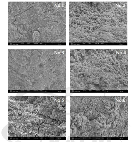 4주 양생된 시멘트 고화체의 SEM 분석