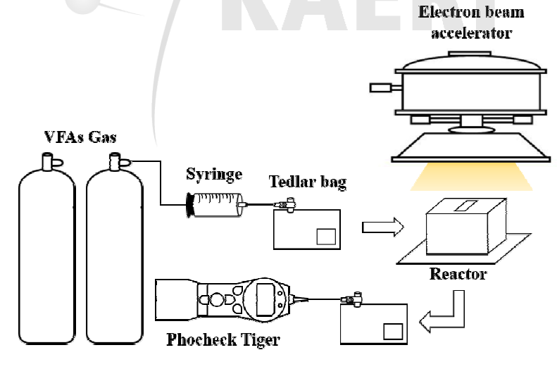 전자빔을 이용한 VFAs 제어 시스템