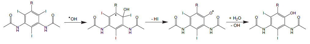 ipso-attack mechanism of hydroxyl radical