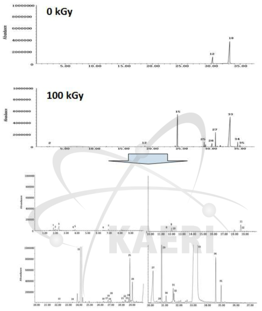 비조사 및 100 kGy 조사된 lauric acid(C12:0)의 SPME-GC/MS total ion chromatogram