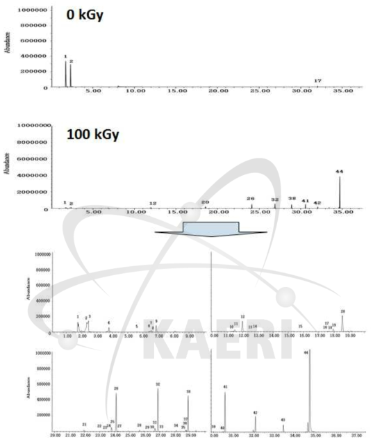 비조사 및 100 kGy 조사된 stearic acid(C18:0)의 SPME-GC/MS total ion chromatogram
