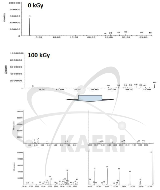 비조사 및 100 kGy 조사된 arachidic acid(C20:0)의 SPME-GC/MS total ion chromatogram