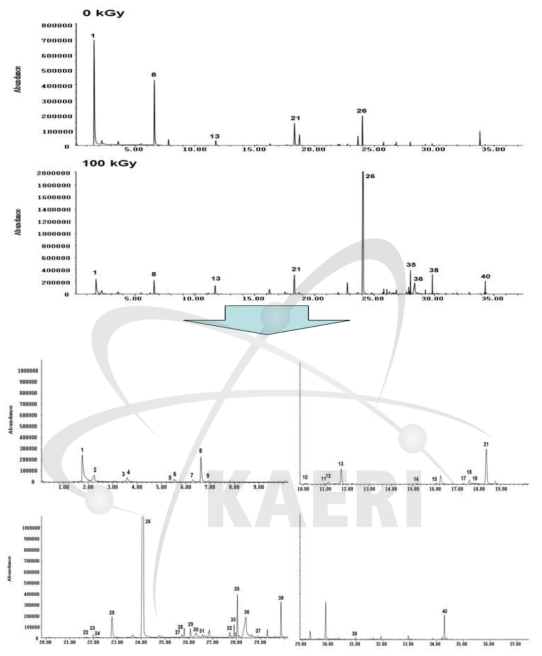 비조사 및 100 kGy 조사된 oleic acid(C18:1)의 SPME-GC/MS total ion chromatogram