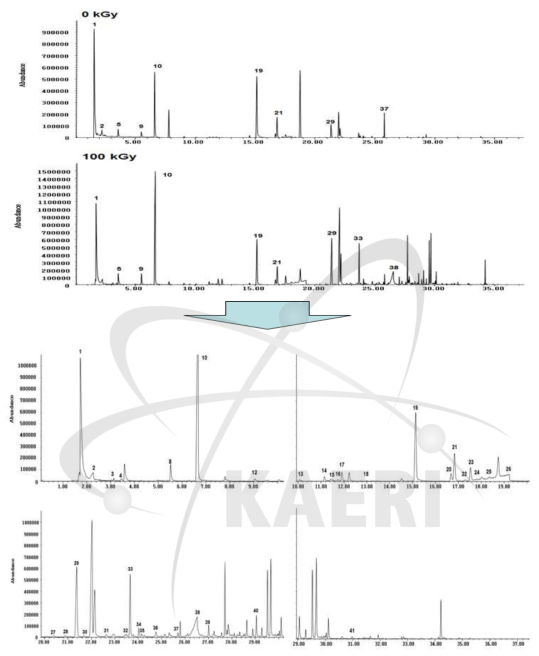 비조사 및 100 kGy 조사된 linoleic acid(C18:2)의 SPME-GC/MS total ion chromatogram