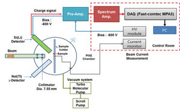 PIXE 챔버 및 신호 측정 개략도