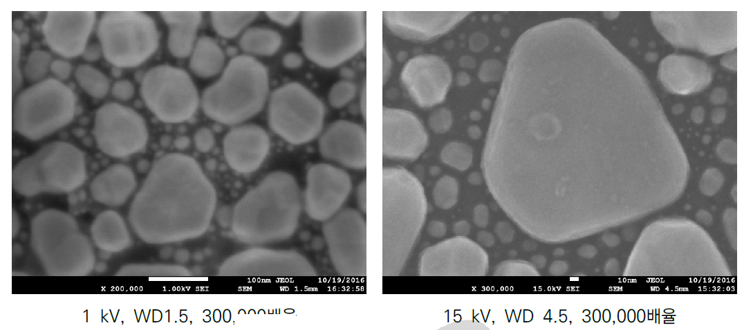 도입한 FE-SEM으로 찍은 금나노입자 이미지