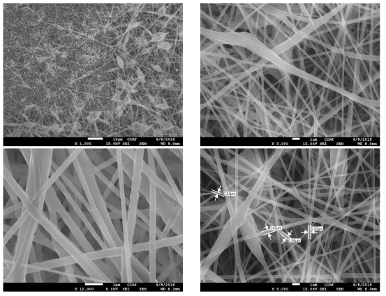 제작된 나노 섬유의 SEM 사진