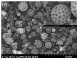 자기조립에 의해 합성된 거대 기공을 갖는 다공질 실리카 입자의 SEM 이미지