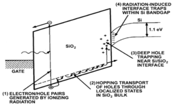 MOSFET 구조의 총이온화선량효과